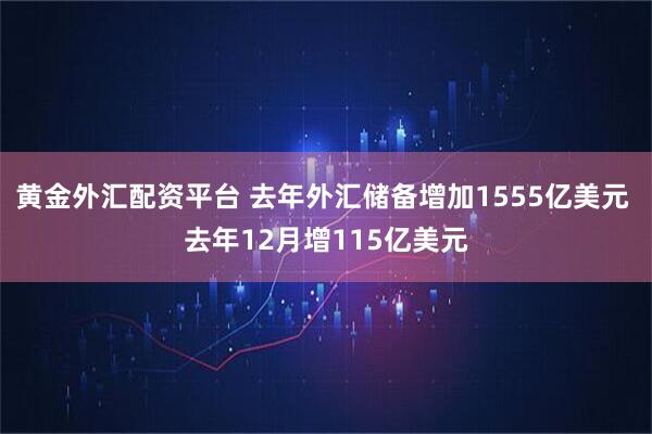 黄金外汇配资平台 去年外汇储备增加1555亿美元 去年12月增115亿美元
