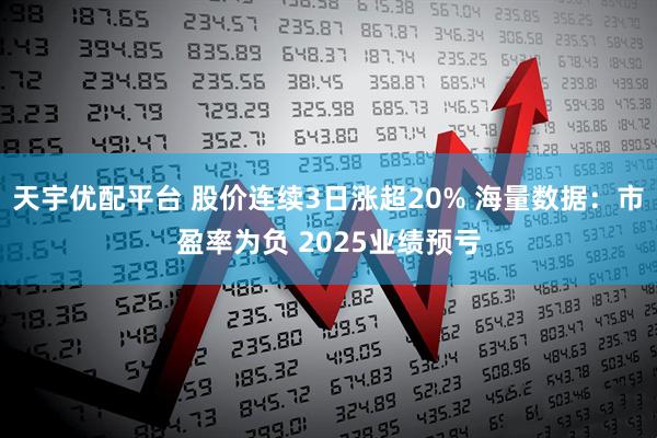 天宇优配平台 股价连续3日涨超20% 海量数据：市盈率为负 2025业绩预亏