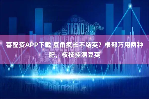 喜配资APP下载 豆角疯长不结荚？根部巧用两种肥，枝枝挂满豆荚