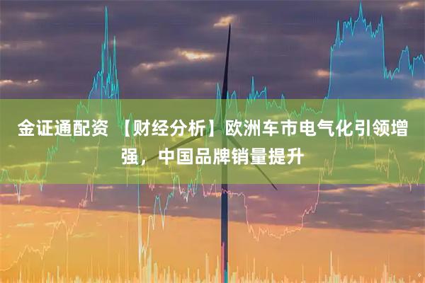 金证通配资 【财经分析】欧洲车市电气化引领增强，中国品牌销量提升